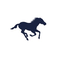 Alzayani Investments